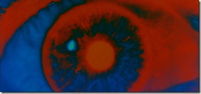 01.3_2001_BOWMAN_EYE